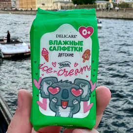 Милый персонаж Коала для упаковки влажных салфеток Delicare