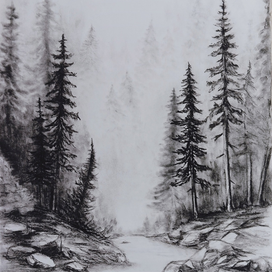 Лесная река