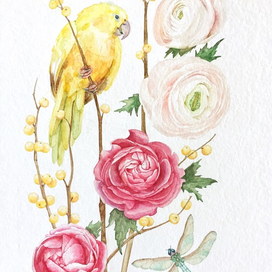 Жёлтый попугай