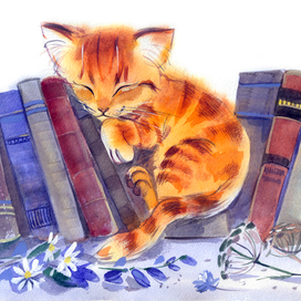 кот в книгах