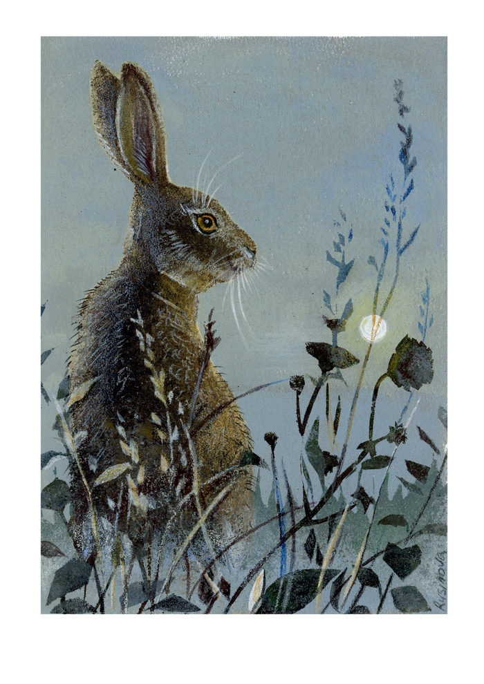 Заяц на рассвете