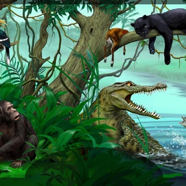 Джунгли Африки