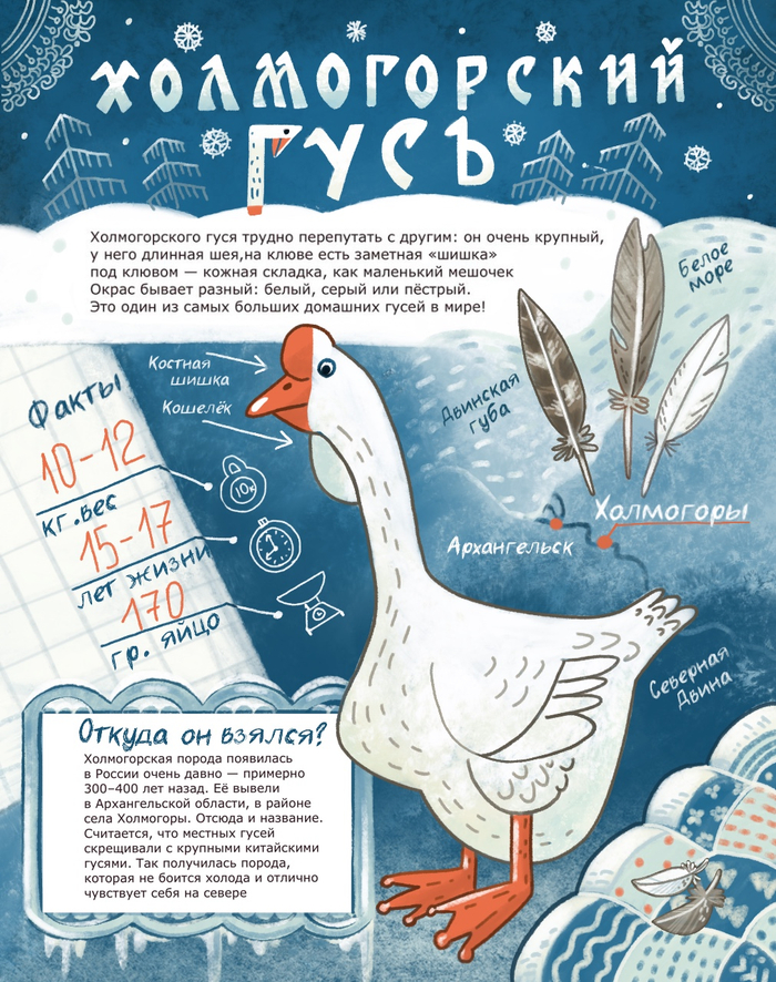 Холмогорский гусь