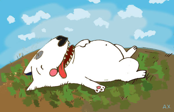 Ферд на солнышке