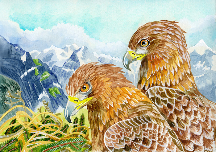 Golden eagles