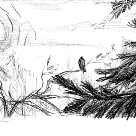 Старая истина 