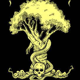 Рубашка для игральных карт