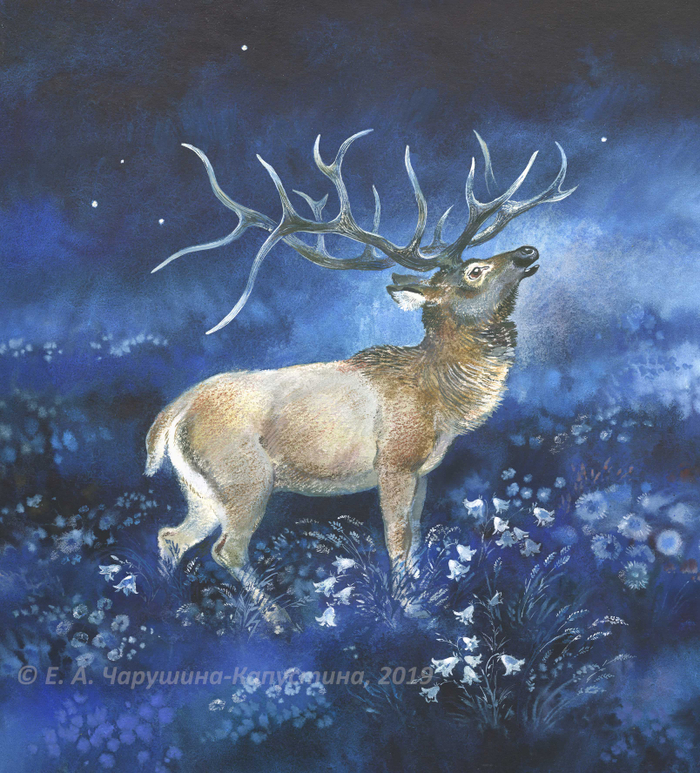 Рисунок на переплёт к книге Г. Снегирёва "Ночные колокольчики"