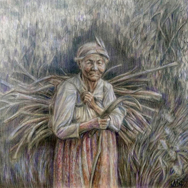 Валежник - богатство народа!