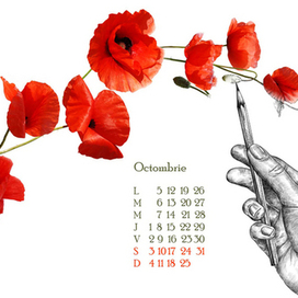 страницы календаря