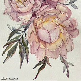 Пионовое трио