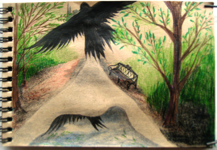 черные крылья