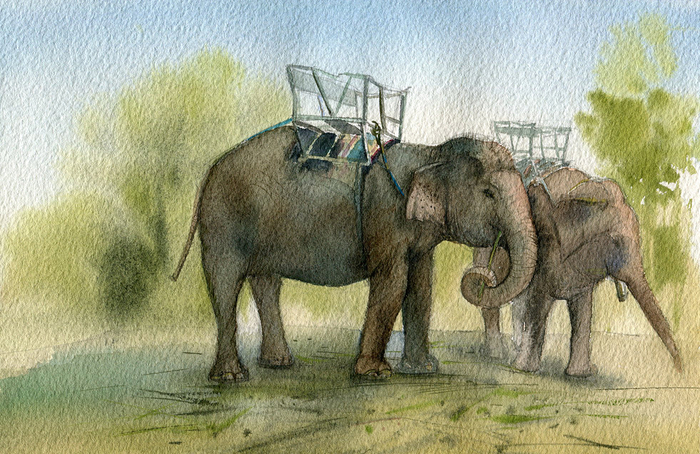 Обед. Из серии Вьетнам.