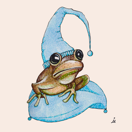 Сонная Лягушка
