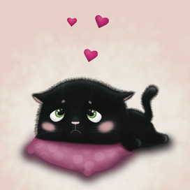 Чёрный пушистик