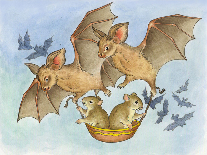 Мыши тоже летают