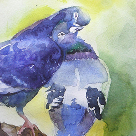 Голуби. Весна