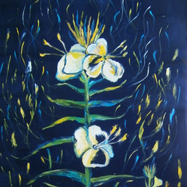 Лунный цветок 