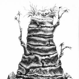 твердокаменный упрямец