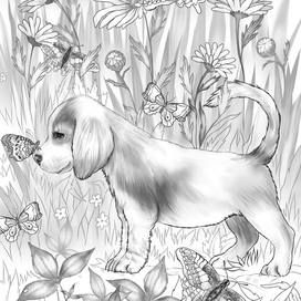 Раскраска "Кто ты?"