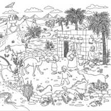 Арктика - Прерия - Пустыня