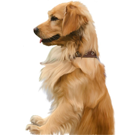 Рисунок собаки по фотографии заказчика. 500 руб.