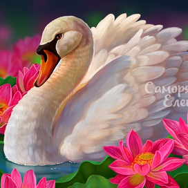 Лебедь и лотосы