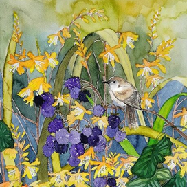 Цветы и ягоды