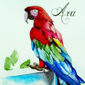 Ара