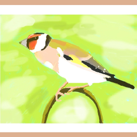 Щеглы - красавцы громко там поют