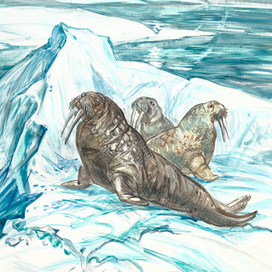  разворот к книге Олега Бундура " Царское море"