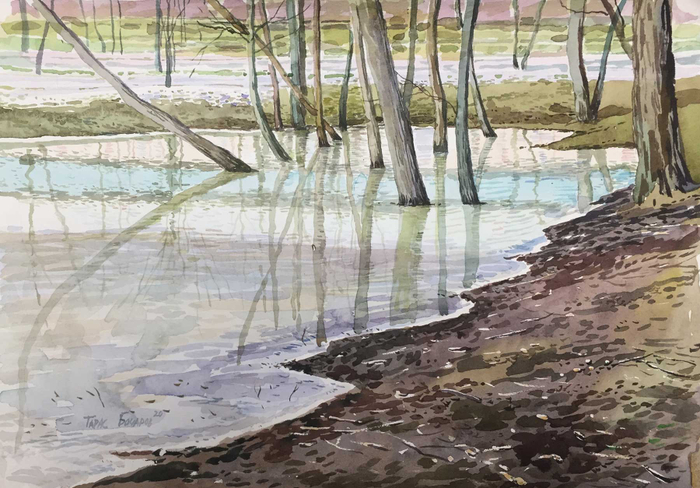 Зеркальный лёд