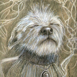 солнце греет, а к парикмахеру еще не сходила (первое тепло было в субботу)