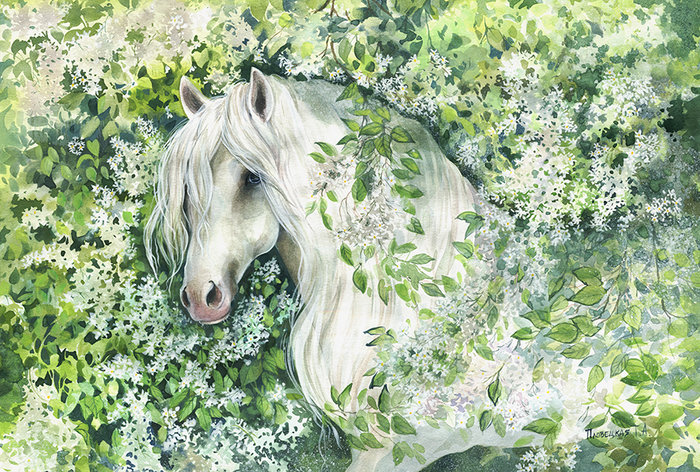 Белая лошадь в цветах черемухи