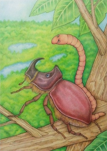 Сверху вид лучше!