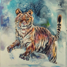 Акварельные тигр
