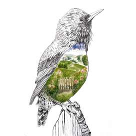 Птица и сад