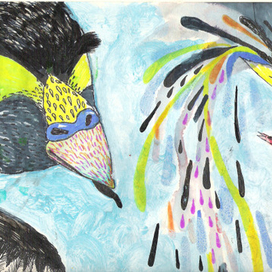 (без названия)