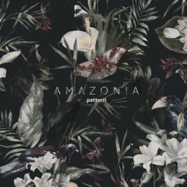 Amazonia | паттерн