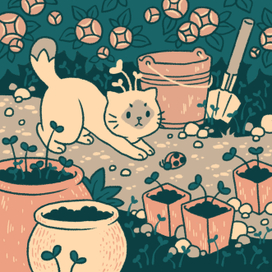 Садовый котик