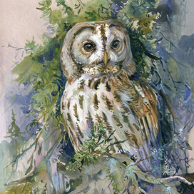 Неясыть Ряженка