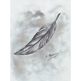 Пёрышко. Невесомый полёт