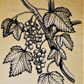 Зарисовка #2