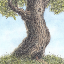 Большой дом для маленького кого-то