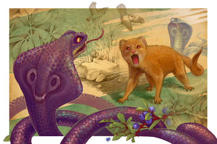 Рикки - Тикки - Тави