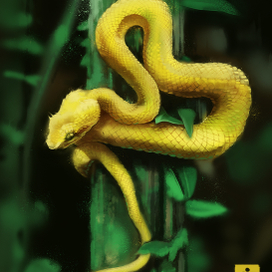 Snake Study