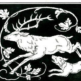 Не поймаешь !