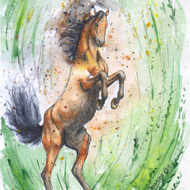 Душа стихии