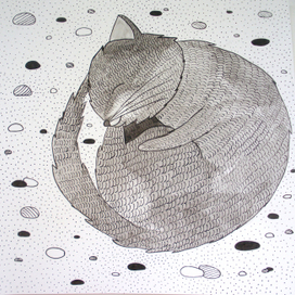 С.Я.Маршак "Отчего кошку назвали кошкой?"