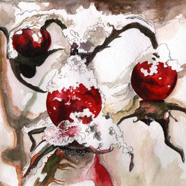 Ягоды шиповника в снегу